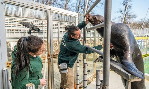 Sokan tanulnak a Ny&iacute;regyh&aacute;zi &Aacute;llatparkban 