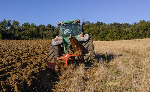 Behozza a lemaradást Szabolcsban a gabona?