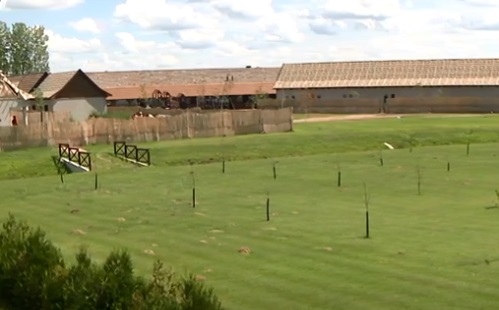 Összművészeti fesztivál lesz a sóstói Zsindelyes