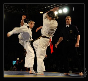 Kyokushin Karate Európa Bajnokság Kyokushin Karate Európa Bajnokság