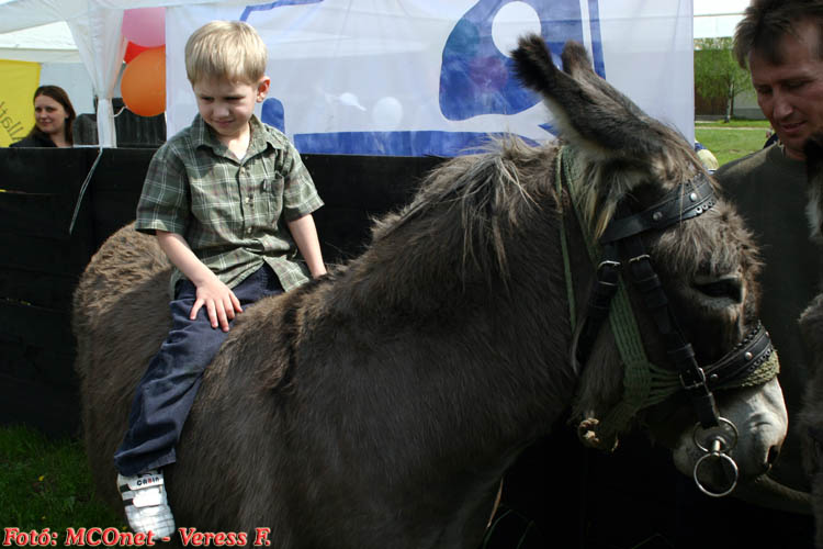 Majális 2005. Majális 2005.