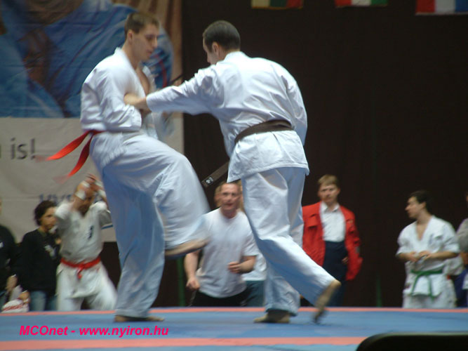 Kyokushin karatebajnokság Kyokushin karatebajnokság